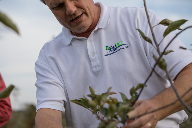 Aghc worker inspecting plant for research.