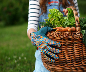 Woman caring a basket full of veggies.